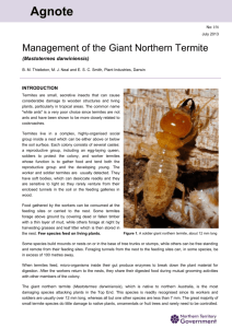 Management of the Giant Northern Termite DOCX