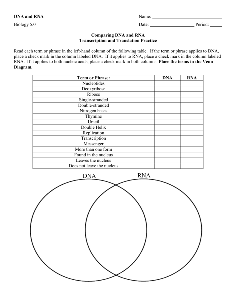 DNA and RNA Comparison Within Dna And Rna Worksheet Answers