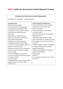 DRAFT Outline for Horse Event Incident Response