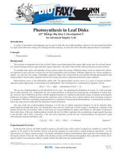 Ap Lab New 5 FLINN Photosynthesis