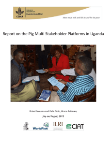 MSP report July-August 2015 - uganda-pigs