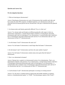 Supplemental File S9. Homologous Chromosomes