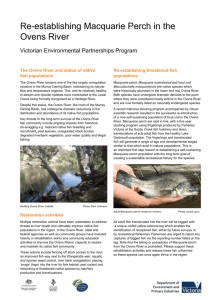 Macquarie perch facts - Department of Environment, Land, Water
