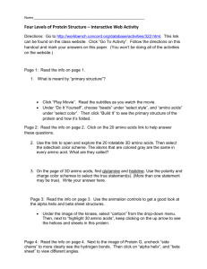 Protein Structure Web Activity