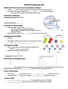 Cell Growth and Replication notes `15