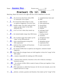 Pretest Ch 12: DNA