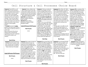 Science Cell Choice Board Project!