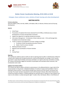 Malawi Floods 2015 - SC meeting minutes 29.01