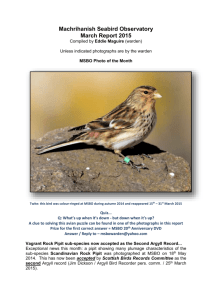 March 2015 - Machrihanish seabird & Wildlife Observatory