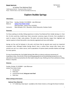 Explore Stubbe Springs - Joshua Tree National Park Association