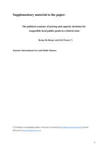 The political economy of pricing and capacity decisions for