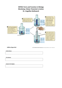 water potential answers