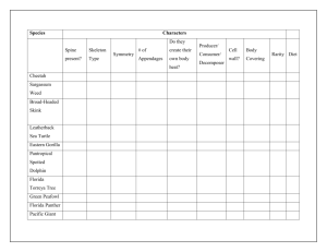 organism classification worksheet for extension of activity