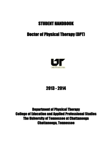 the physical therapy profession - The University of Tennessee at