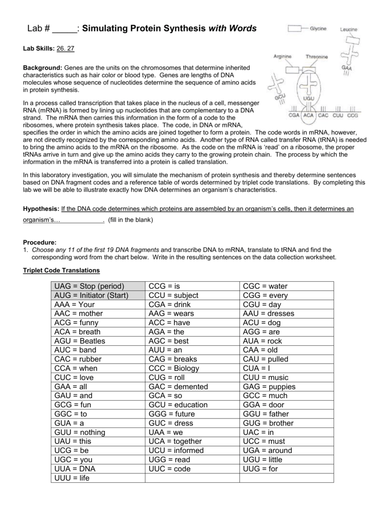 decoding-dna-worksheet-answers