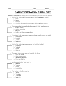 Cardio-Respiratory System Quiz Review Sheet