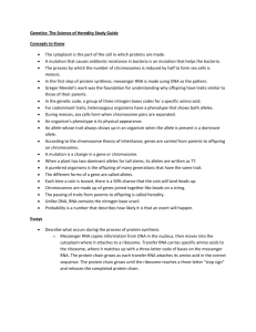 Genetics The Science of Heredity Study Guide
