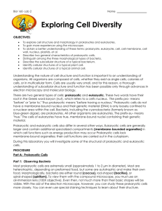 Biol 160-Lab02-Cell Diversity