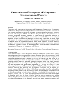 Conservation and Management of Mangroves at Nizampatnam and
