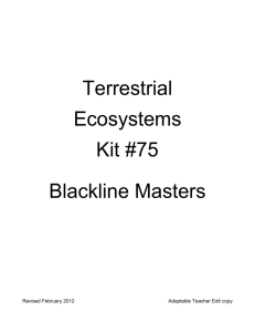 Terrestrial Ecosystems BLM