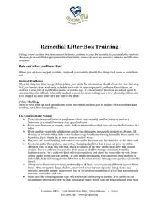 Remedial Litter Box Training