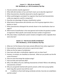 Lesson Questions Ch 1