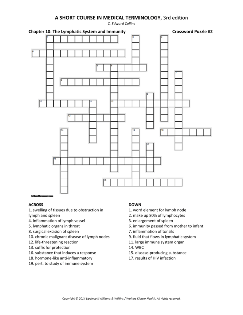 Chapter 7 Crossword Puzzle Medical Terminology Eugene Burk #39 s Word Search