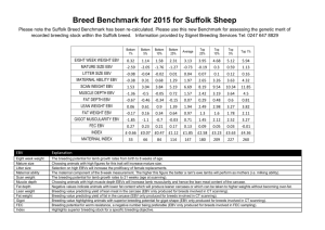 Suffolk Breed Benchmark 2015
