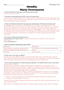 Heredity- Chromosomes Check 7 (Solutions)