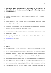 Mutations in the stereospecificity pocket and at the entrance of