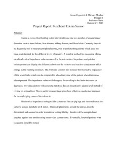 Projects 1 – Final Report