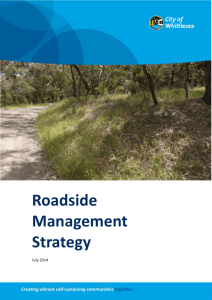 Roadside Management Strategy (Word - 3MB)