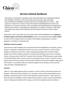 Service Animal Guidance