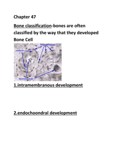 Biology NEW bone notes outline