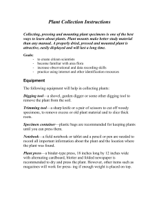 Plant Collection Instructions