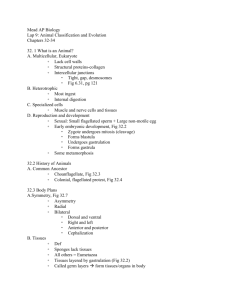 Ch 32-34 Outline - Mead`s Fabulous Weebly