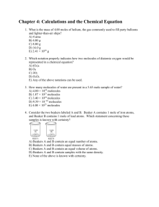 Chapter 4 Calculations and the Chemical Equation REV