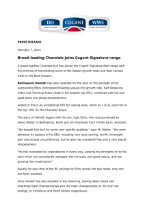 Breed-leading Charolais joins Cogent Signature range