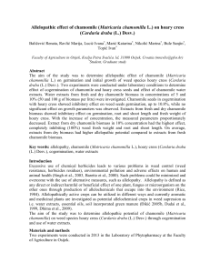 Allelopathic effect of chamomile (Matricaria chamomilla L.) on hoary