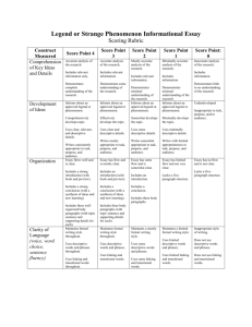 Informational Essay Rubric