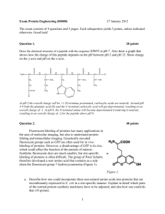 Vragen voor tentamen Protein Engineering (8S080)