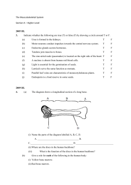 Chapter 4 - Human Anatomy