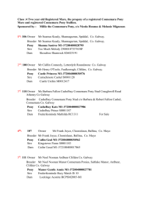 Class 4 - Connemara Pony Breeders Society