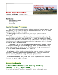 Apple Storage Problems