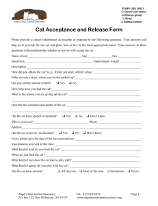 Cat Acceptance and Release Form