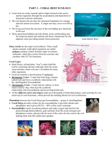 part 2 – coral reef ecology