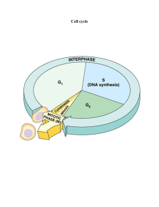 (karyokinesis). It is a relatively short period of the cell cycle. M phase