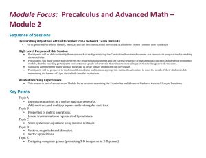 Facilitator`s Guide: Pre-calculus and Advanced Topics