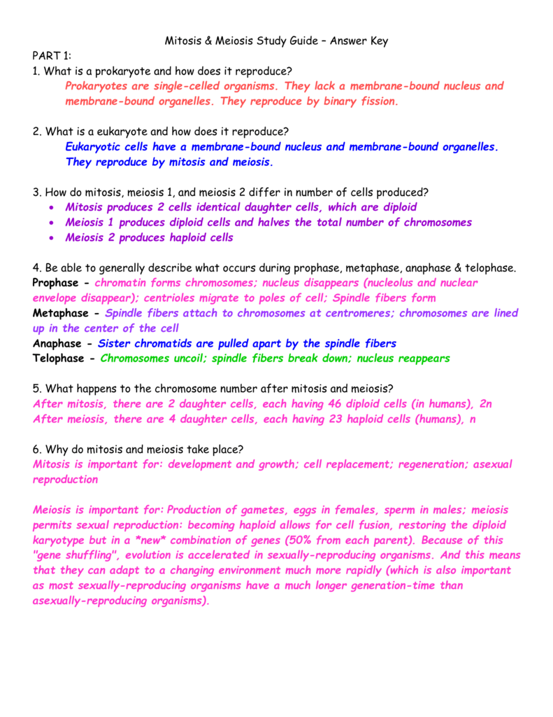 Mitosis & Meiosis Study Guide - Answer Key PART 1: 1. What ...