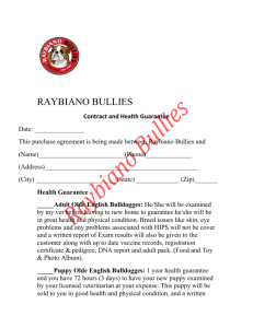 Raybiano Bullies Contract and Health Guarantee